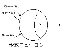 �˥塼����